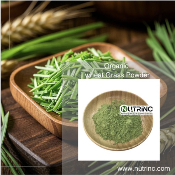 Organic Wheat Grass Powder
