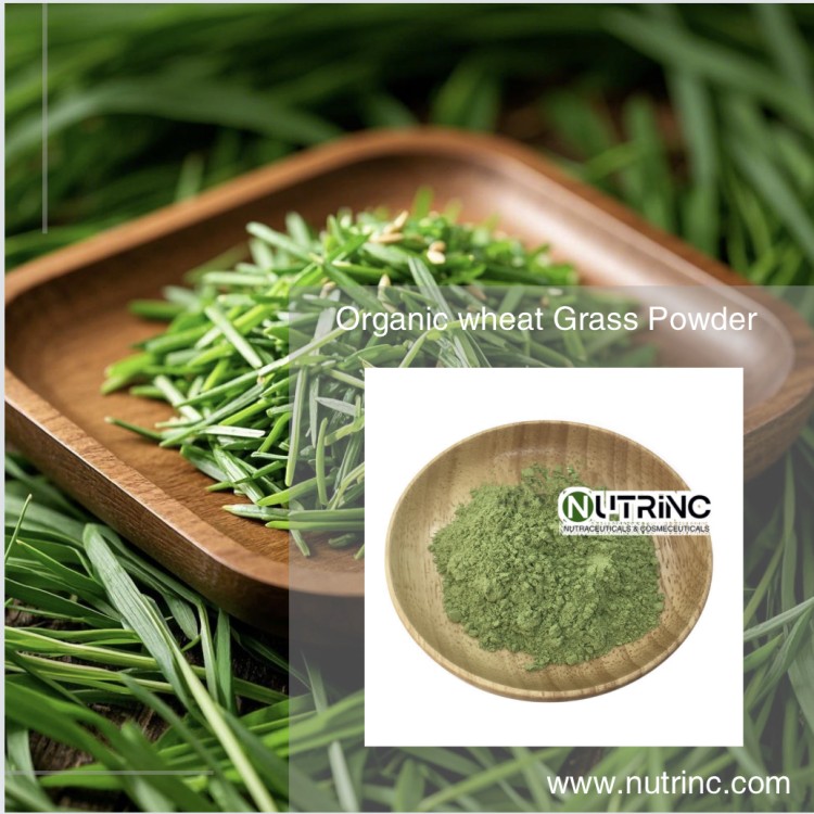 Organic Wheat Grass Powder