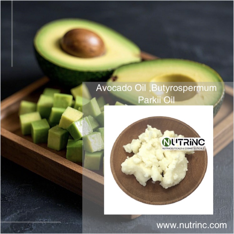 Avocado Oil ,Butyrospermum Parkii Oil