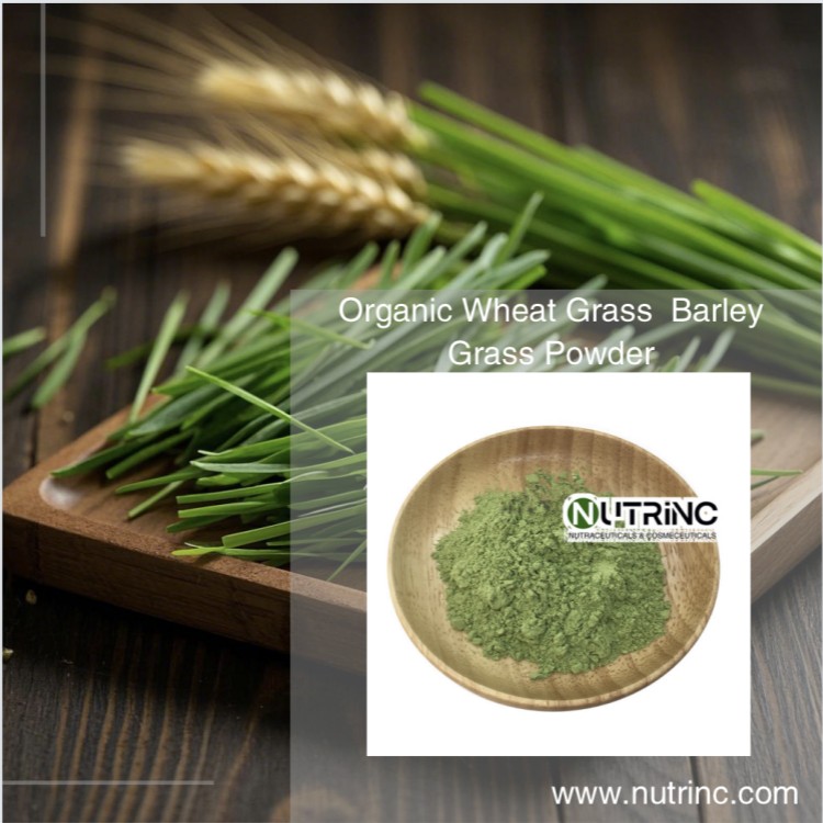 Organic Wheat Grass  Barley Grass Powder