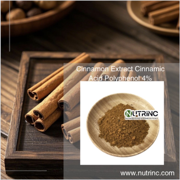 Cinnamon Extract Cinnamic Acid Polyphenol 4%