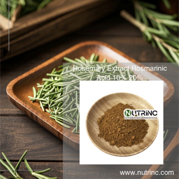 Rosemary Extract Rosmarinic Acid 10% 20%