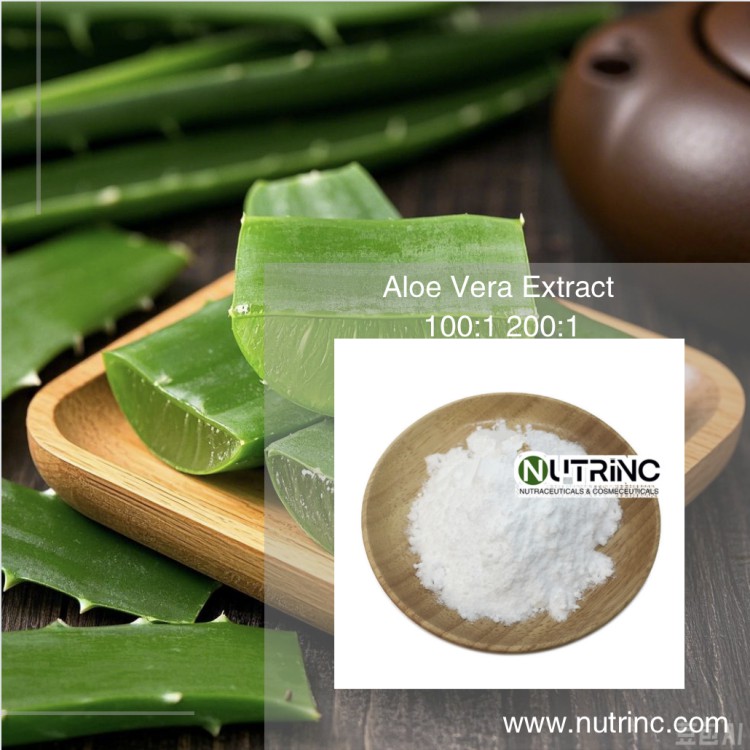 Freeze Dried Aloe Vera Powder 100:1