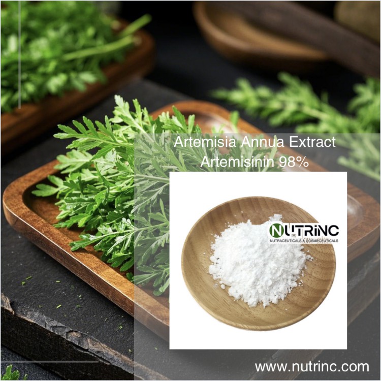 Artemisia Annua Extract Artemisinin 98%