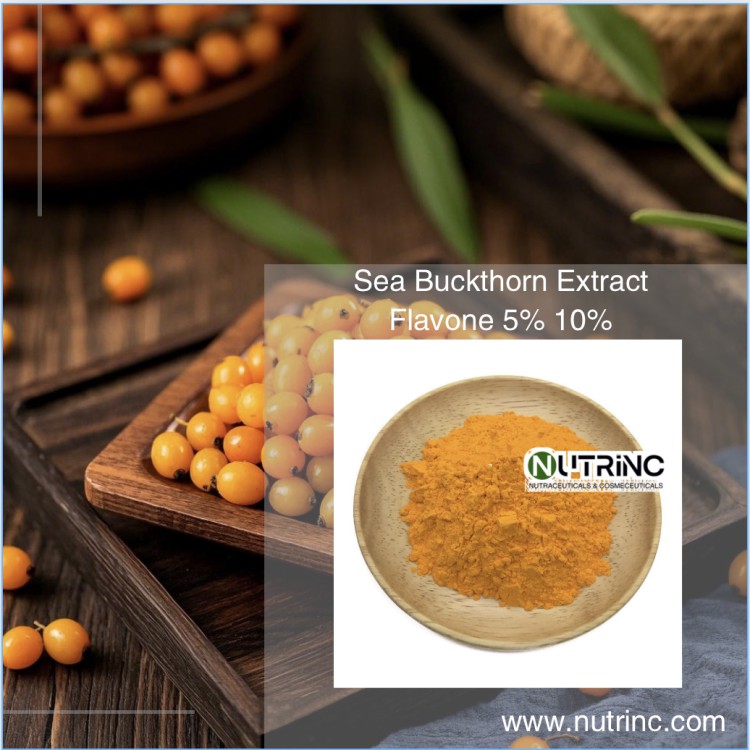 Sea Buckthorn Extract  Flavone 5% 10%