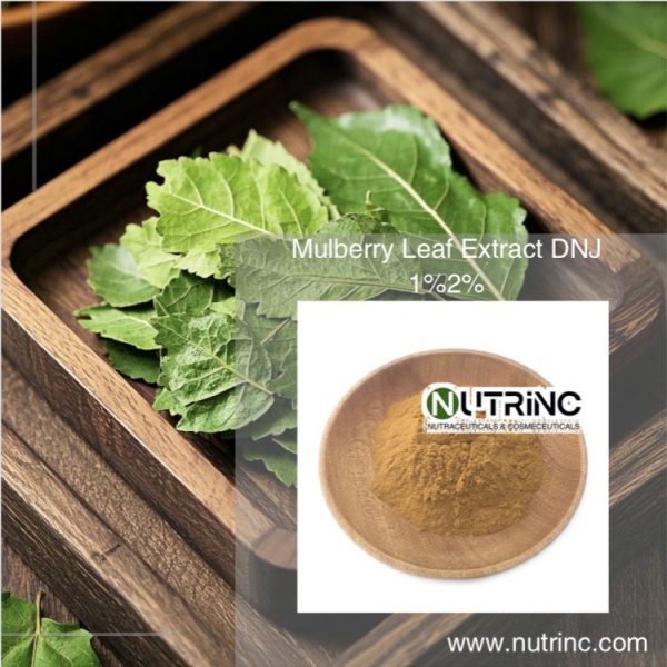 Mulberry Leaf Extract DNJ 1%2% 