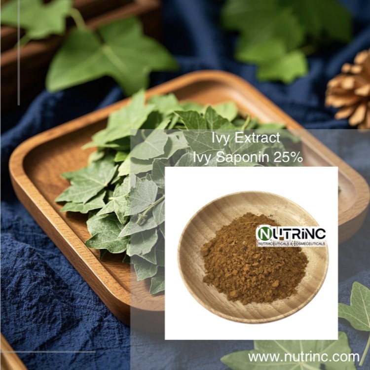 Ivy Extract Ivy Saponin 25%