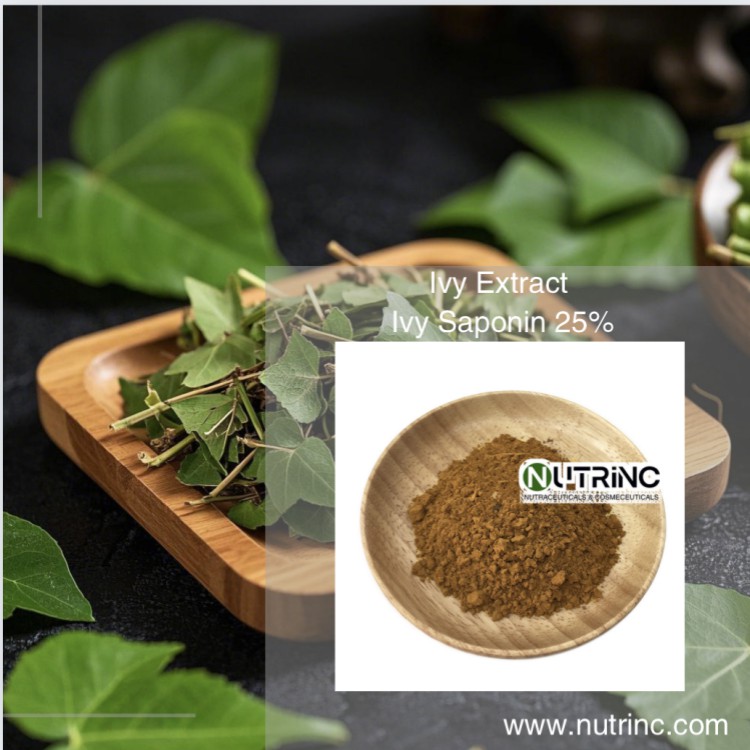Ivy Extract Ivy Saponin 25%