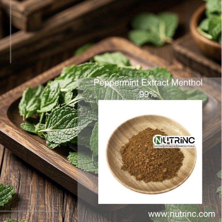 Peppermint Extract Menthol 99%