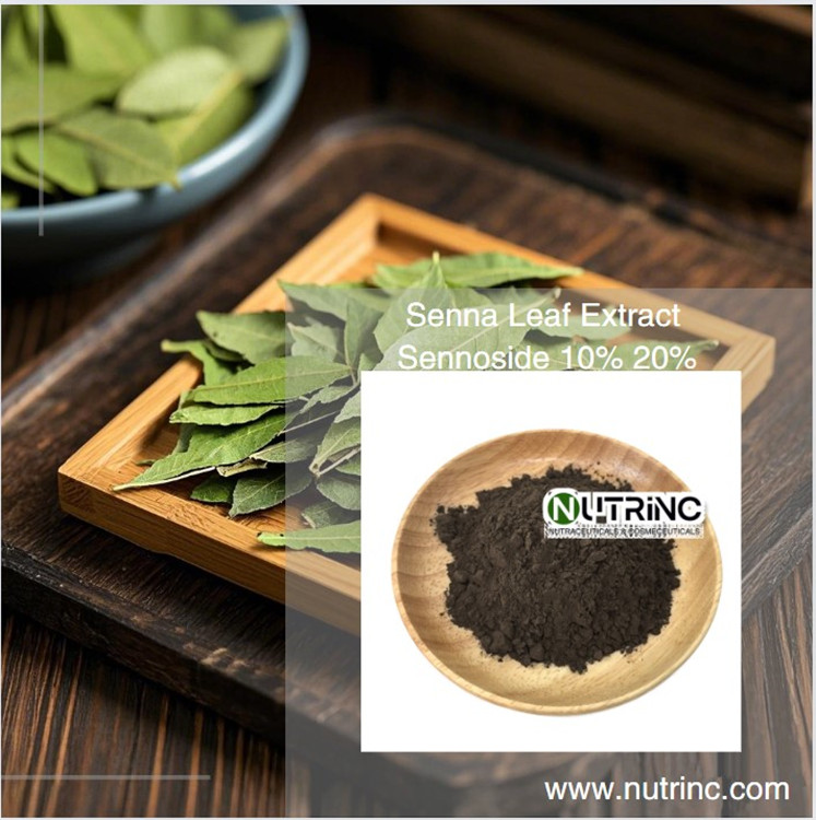 Senna Leaf Extract Sennoside 10% 20%