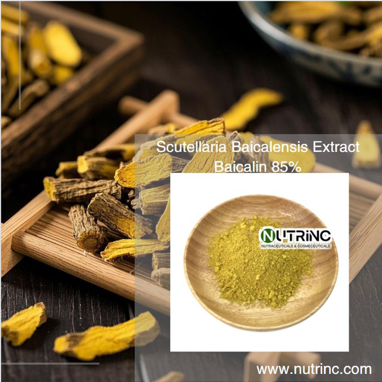 Scutellaria Baicalensis Extract Baicalin 85%