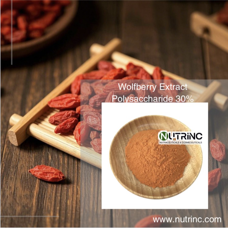 Wolfberry Extract  Polysaccharide 30%