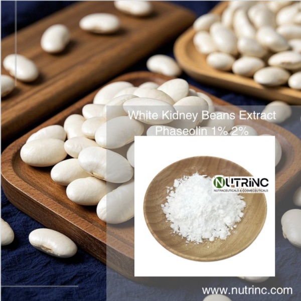 White Kidney Beans Extract  Phaseolin 1% 2%