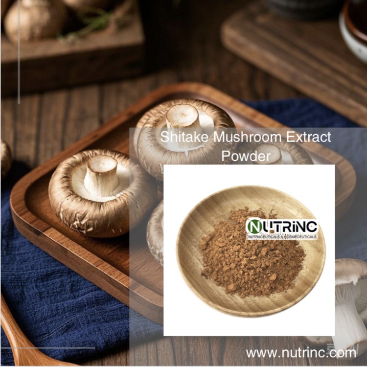 Shitake Mushroom Extract Powder
