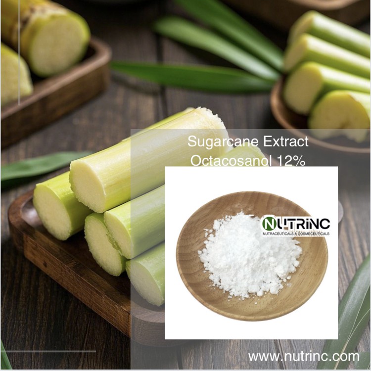 Sugarcane Extract Octacosanol 12%