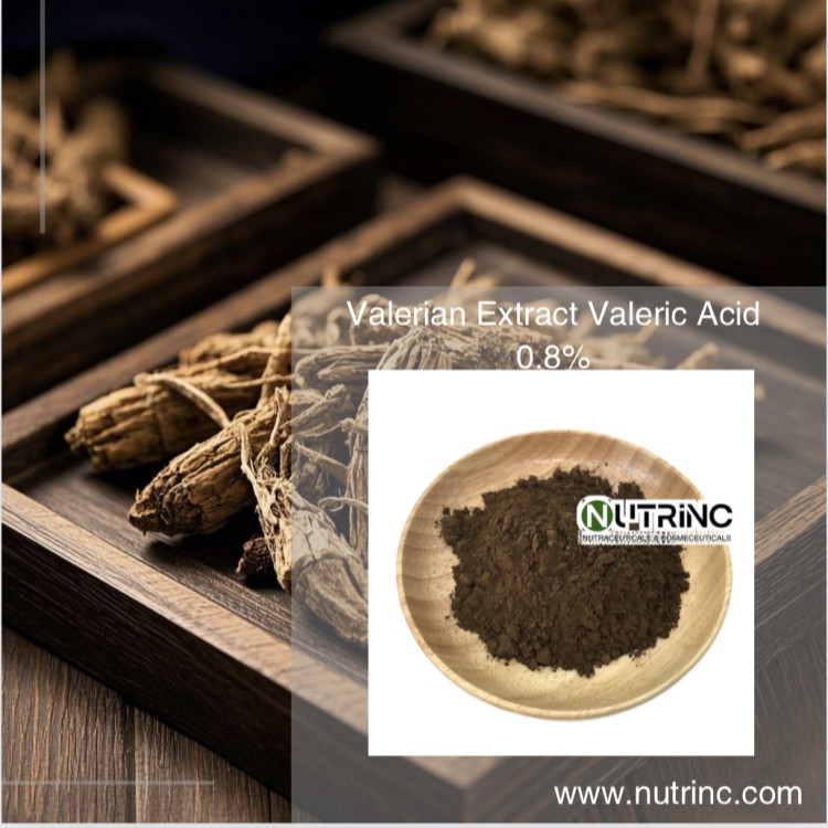 Valerian Extract Valeric Acid 0.8%