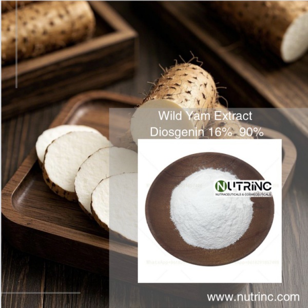 Wild Yam Extract Diosgenin 16%  90%