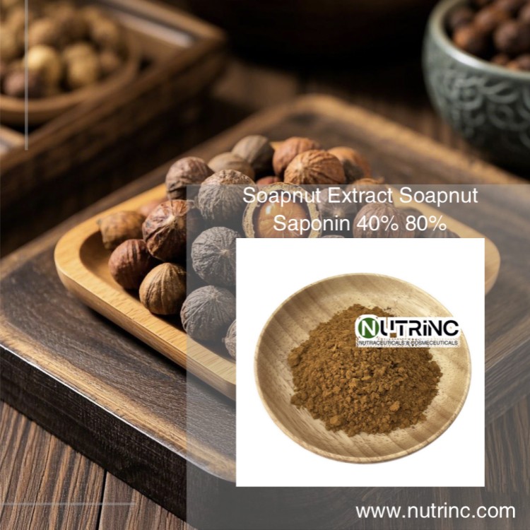 Soapnut Extract Soapnut Saponin 40% 80%
