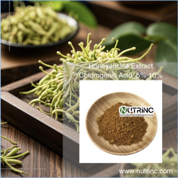 Honeysuckle Extract  Chlorogenic Acid  5% 10%