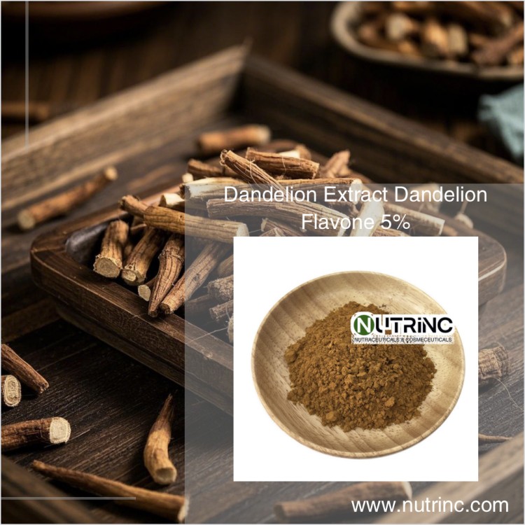 Dandelion Extract Dandelion Flavone 5%