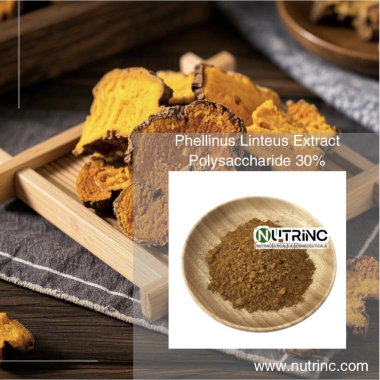 Phellinus Linteus Extract Polysaccharide 30%