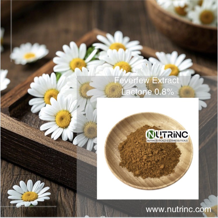 Feverfew Extract Lactone 0.8%