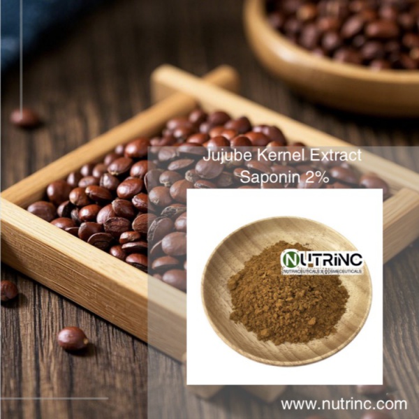 Jujube Kernel Extract Saponin 2%