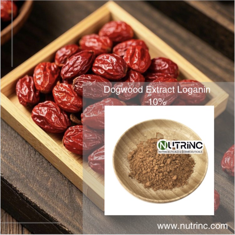 Dogwood Extract Loganin 10%