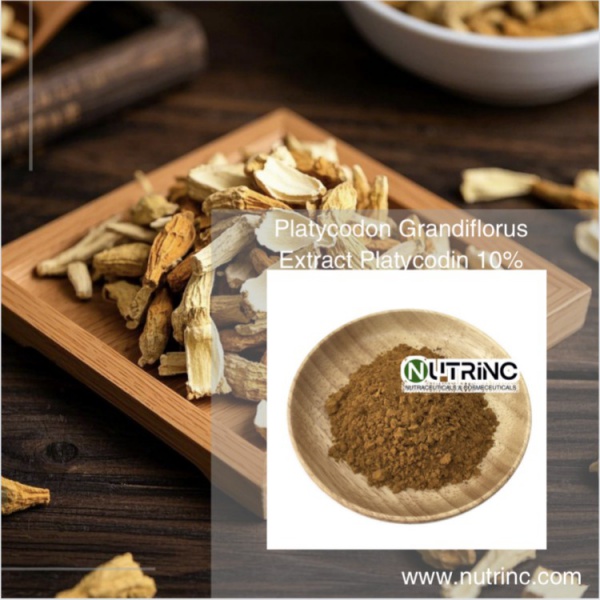 Platycodon Grandiflorus Extract Platycodin 10%
