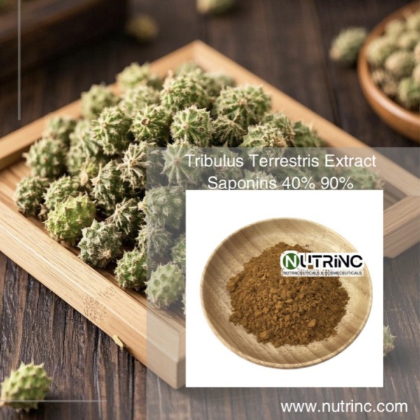 Tribulus Terrestris Extract Saponins 40% 90%