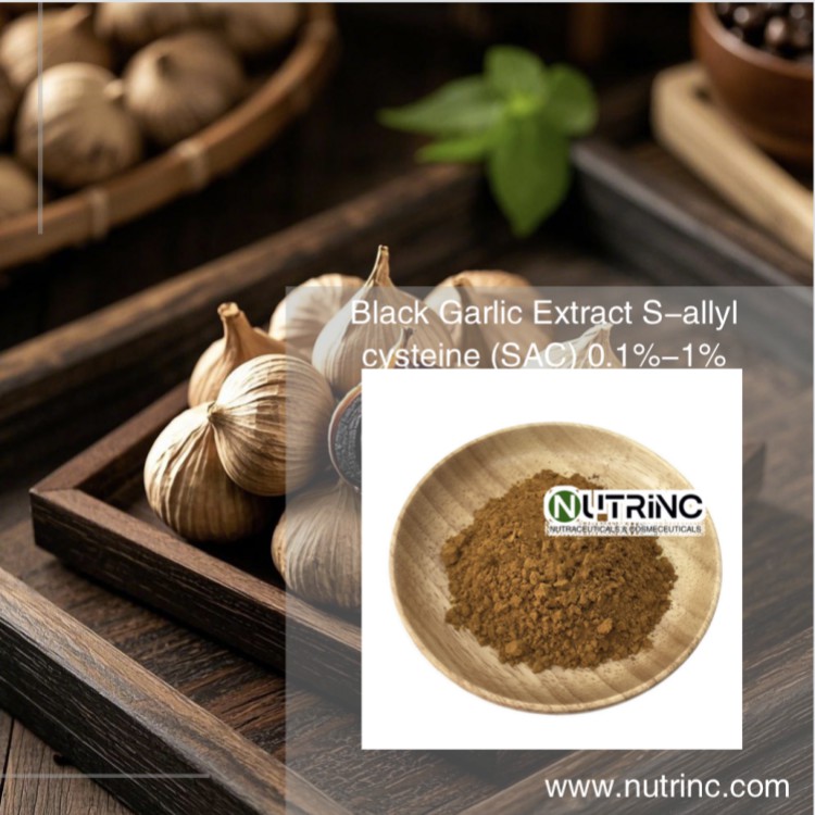 Black Garlic Extract S-allyl cysteine （SAC） 0.1%-1%