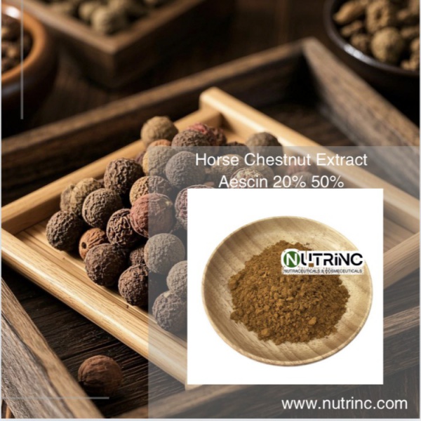 Horse Chestnut Extract Aescin 20% 50%