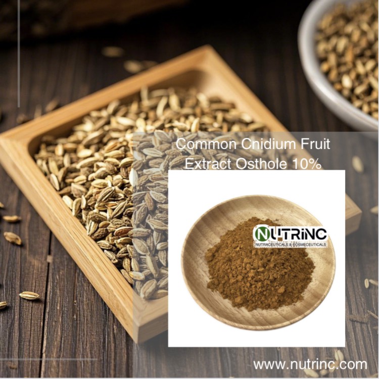 Common Cnidium Fruit Extract Osthole 10%