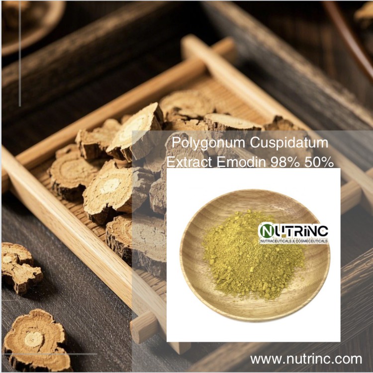 Polygonum Cuspidatum Extract Emodin 98% 50%