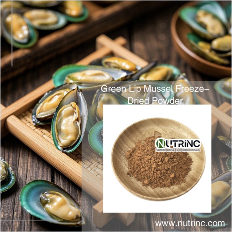 Green Lip Mussel Freeze-Dried Powder