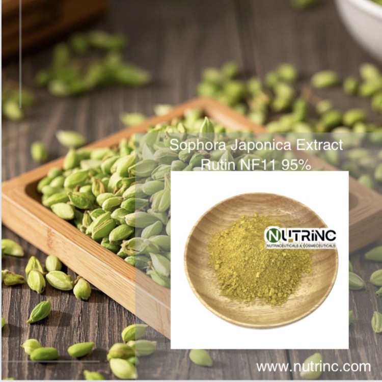 Sophora Japonica Extract Rutin NF11 95%