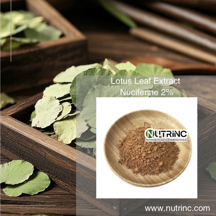 Lotus Leaf Extract Nuciferine 2%