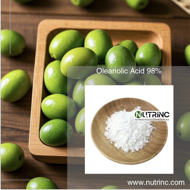 Oleanolic Acid 98%