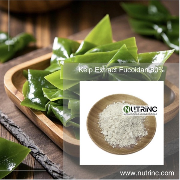 Kelp Extract Fucoidan 80%
