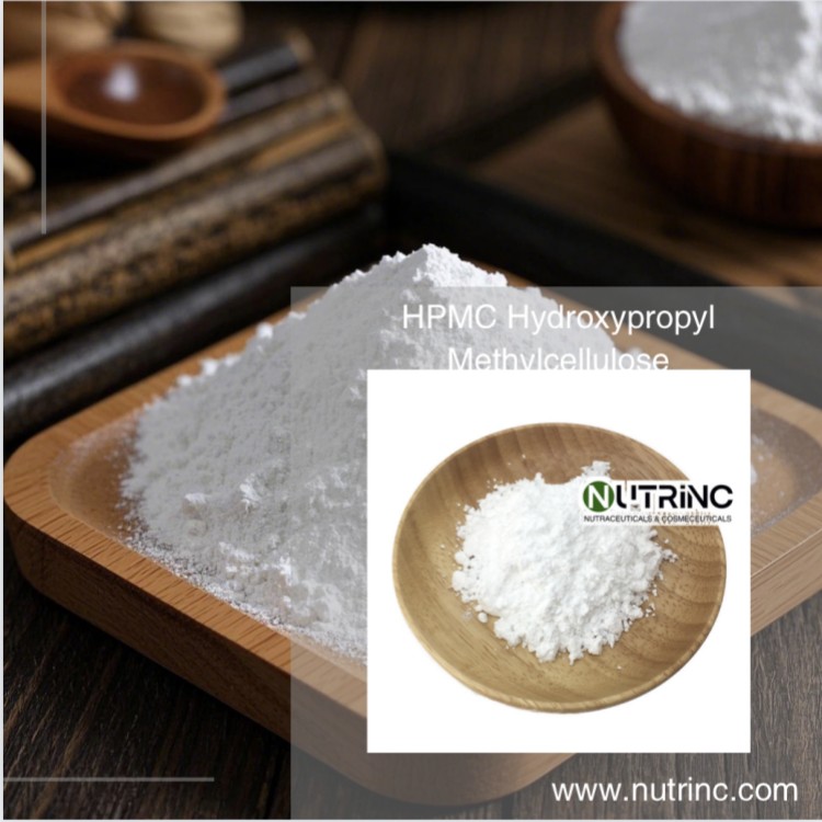 HPMC Hydroxypropyl Methylcellulose