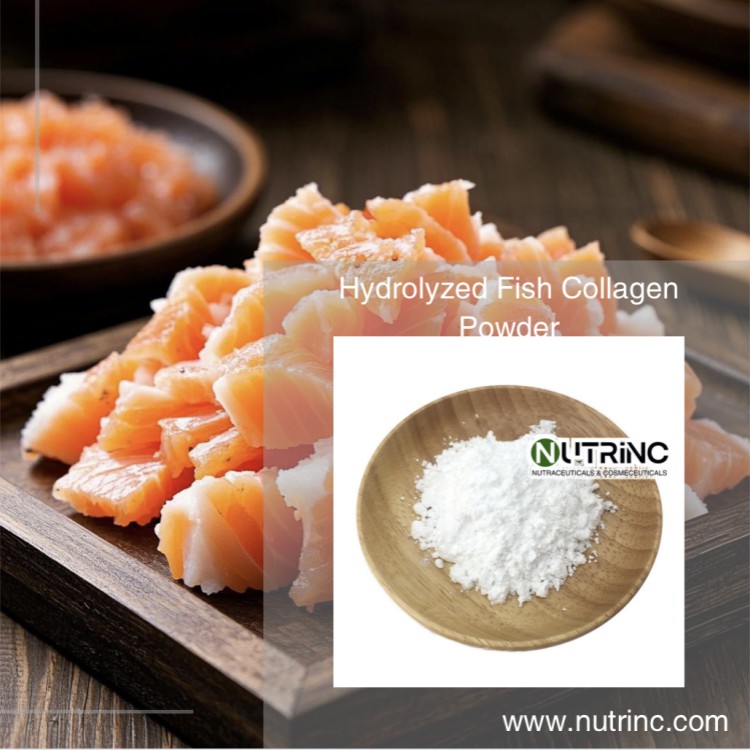 Hydrolyzed Fish Collagen Powder
