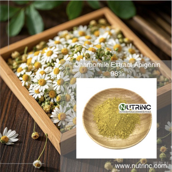 Chamomile Extract Apigenin 98%