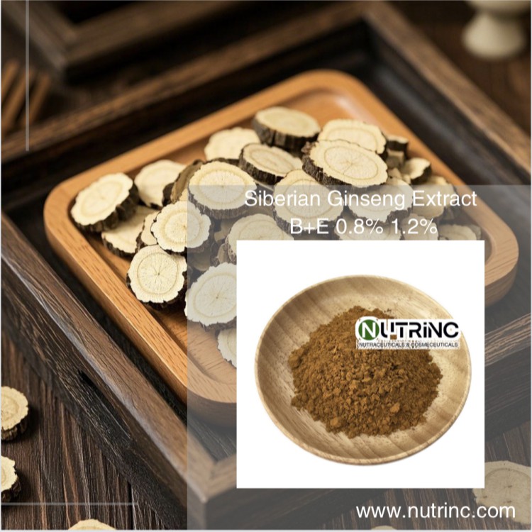Siberian Ginseng Extract 0.8% 1.2%