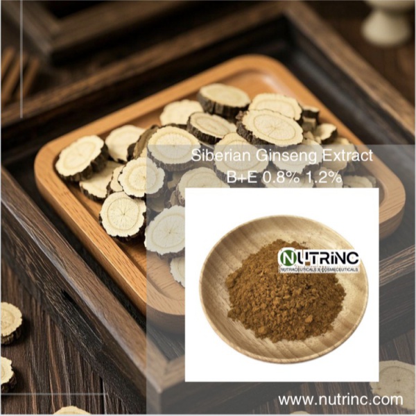 Siberian Ginseng Extract 0.8% 1.2%