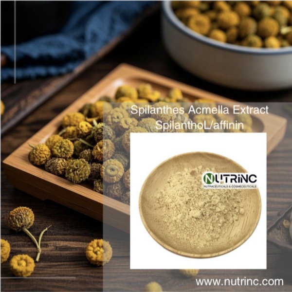 Spilanthes Acmella Extract / Spilanthes Oleracea Extract SpilanthoL/affinin 