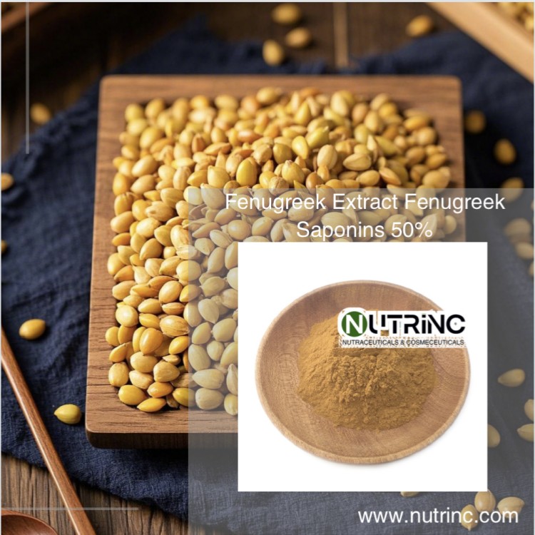 Fenugreek Extract Fenugreek Saponins 50%