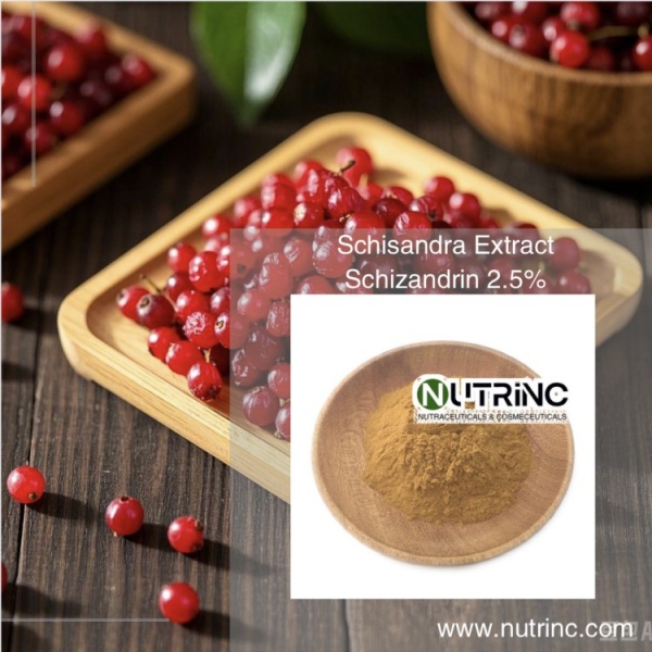 Schisandra Extract Schizandrin 2.5%