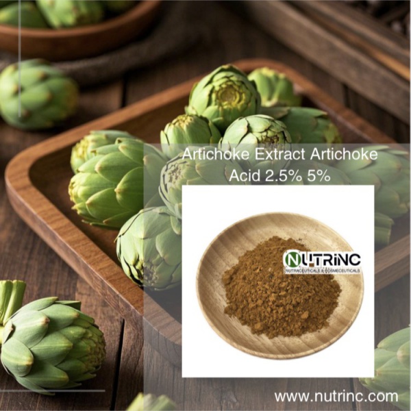 Artichoke Extract Artichoke Acid 2.5% 5%