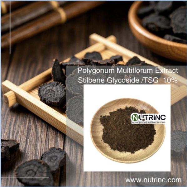 Polygonum Multiflorum Extract Stilbene Glycoside /TSG  10%