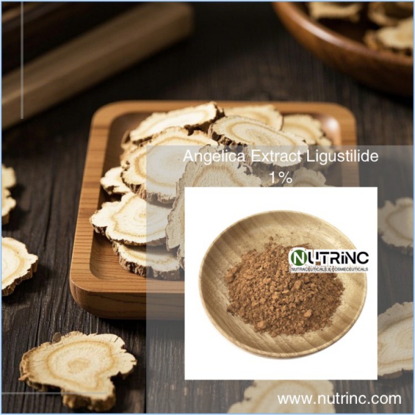 Angelica Extract Ligustilide 1％